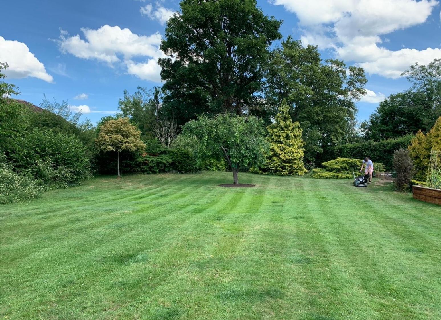The Cottage Get Away Saffron Walden Luaran gambar
